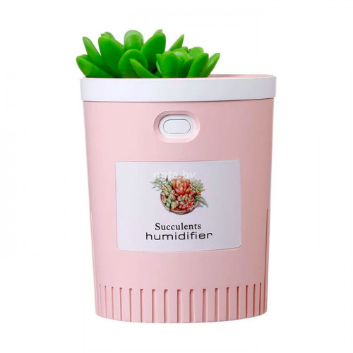 Ультразвуковой увлажнитель воздуха Humidifier Succulent