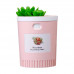 Ультразвуковой увлажнитель воздуха Humidifier Succulent