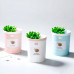 Ультразвуковой увлажнитель воздуха Humidifier Succulent